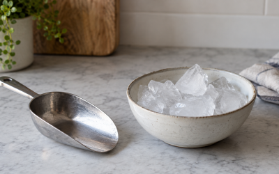 Best Scotsman Ice Maker in 2026: Compared and Ranked