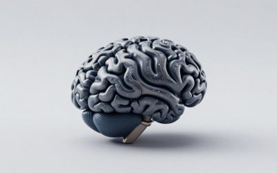 All Forbidden Brainrots in Plants vs Brainrots