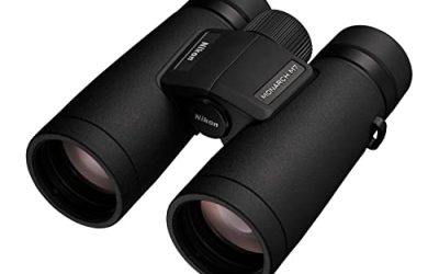 7 Best 10×42 Binoculars under 500 (October 2026)