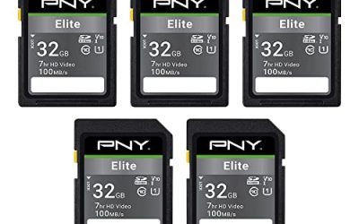 8 Best 32gb SD Cards (October 2026)