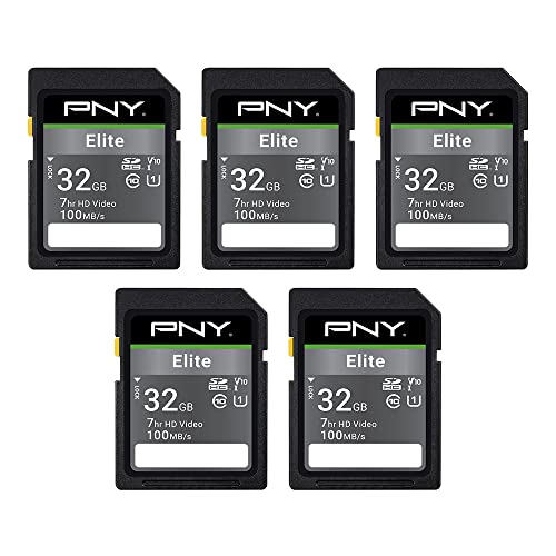 8 Best 32gb SD Cards (October 2026)