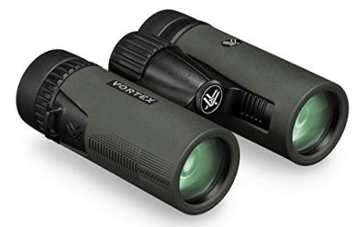 5 Best 8×32 Binoculars (October 2026)
