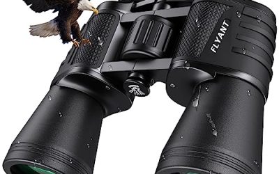 7 Best Binoculars under 50 (October 2026)