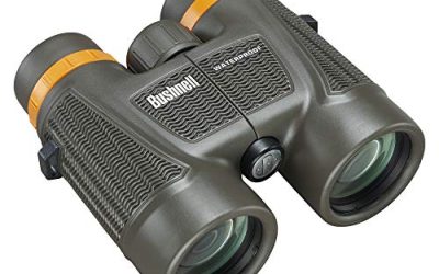 7 Best Bushnell Binoculars (October 2026)