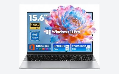 9 Best Business Major Laptops (October 2026)