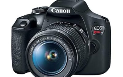 7 Best Cameras for Beginners (October 2026)