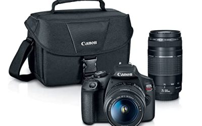 8 Best Canon Cameras (October 2026)