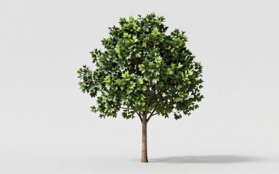 Best Hall Trees with Storage Bench and Hooks