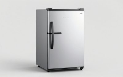 Best Portable Car Fridges for Road Trips & Camping