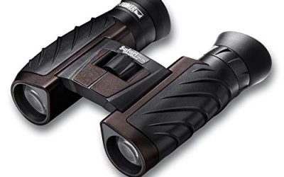 6 Best Safari Binoculars (October 2026)