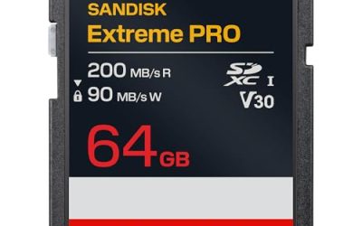 8 Best SD Cards for Canon Cameras (October 2026)