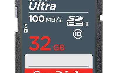 8 Best SD Cards for Nikon Cameras (October 2026)