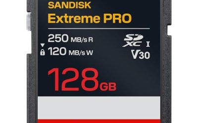 8 Best SD Cards (October 2026)