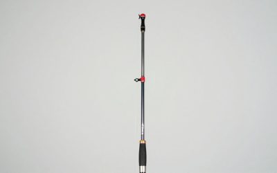Best Surf Fishing Rods for Every Budget